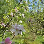 Górska Sowa, Cały Dom Tylko Dla Was Chalet Podgórzyn