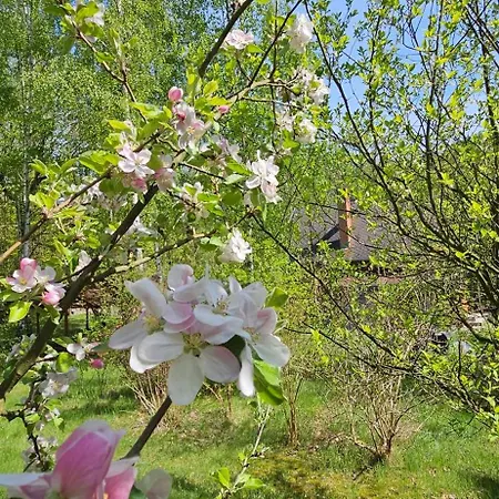 Gorska Sowa, Caly Dom Tylko Dla Was Chalet Podgórzyn