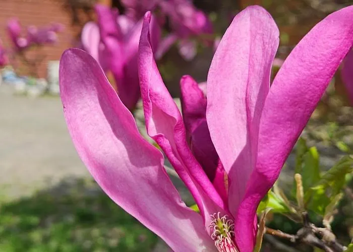 Gorska Sowa, Caly Dom Tylko Dla Was