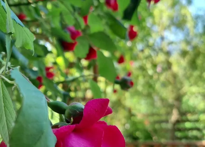 Chalet Górska Sowa, Cały Dom Tylko Dla Was