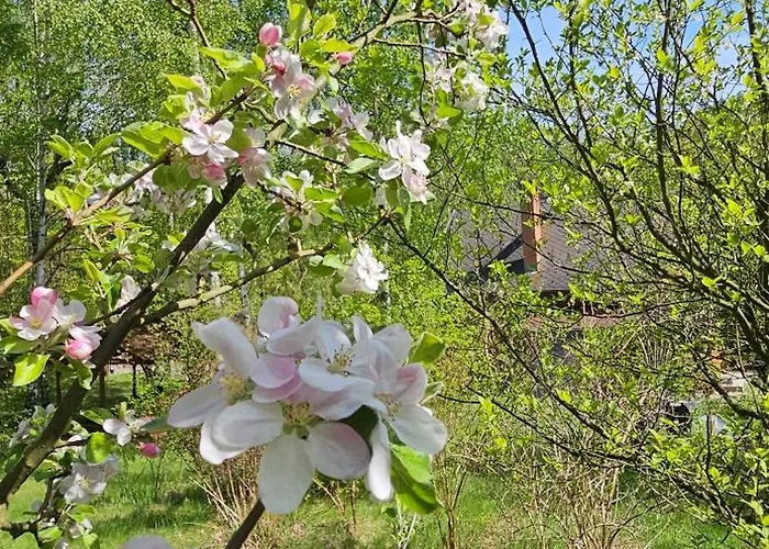 Gorska Sowa, Caly Dom Tylko Dla Was Chalet Podgorzyn
